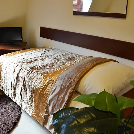 Wok Motel 2*