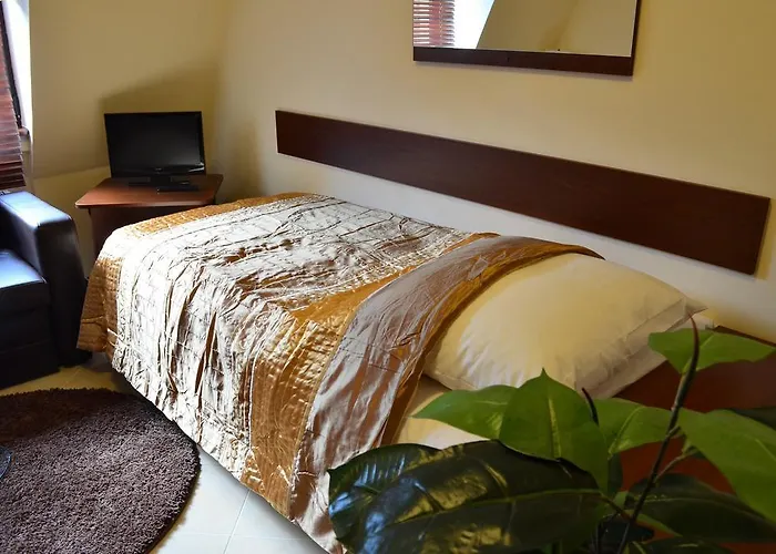 Camping Wok Motel 2*